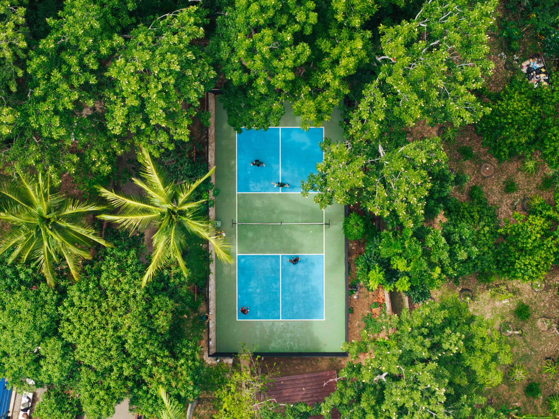 Aerial view of an Araw pickleball court surrounded by trees